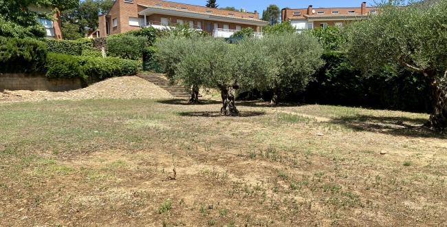 PARCELA ESQUINERA EN PALAU GIRONA