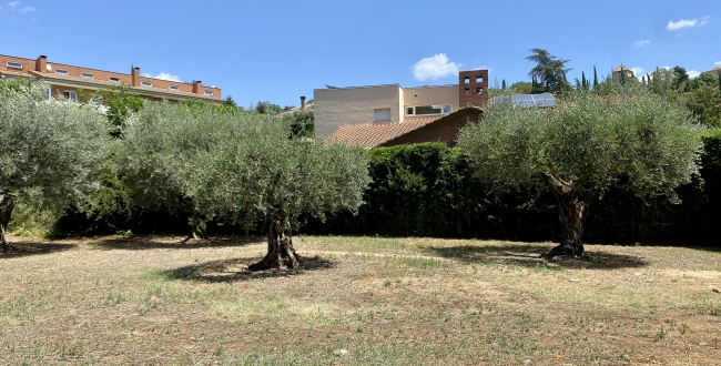 PARCELA ESQUINERA EN PALAU GIRONA