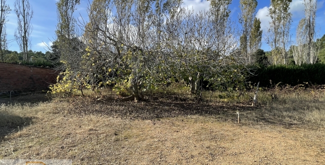 CASA AMB GRAN TERRENY A MONT-RAS
